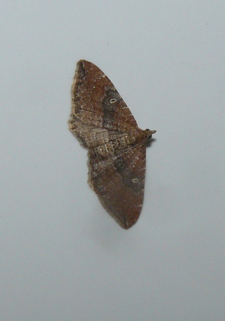 d0019074_6432333.jpg