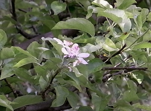 c0169179_04001022.jpg