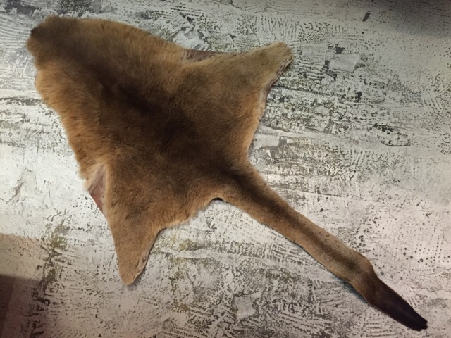 c0078587_0111669.jpg