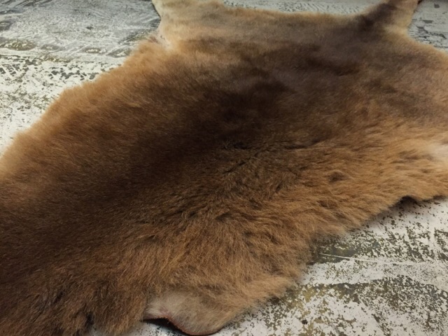 c0078587_011304.jpg