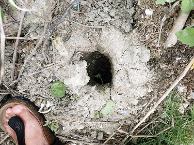 f0338188_1650524.jpg