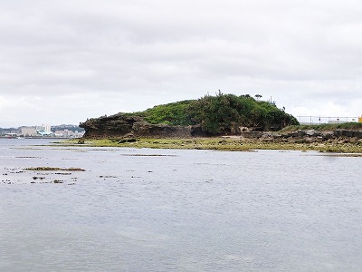 f0338188_1652135.jpg