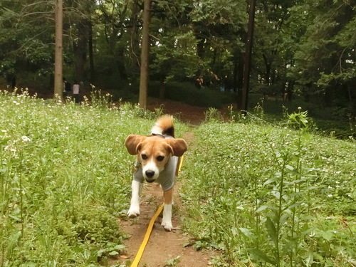 a0319693_82218.jpg