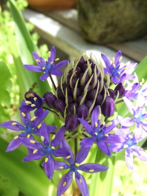 c0062603_22464830.jpg