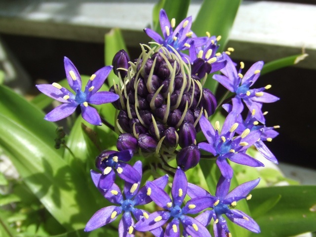 c0062603_22465632.jpg