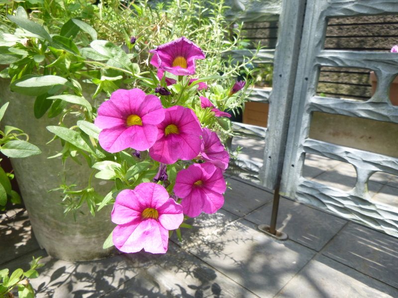 d0170615_14163357.jpg