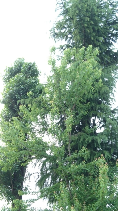 b0204719_10213135.jpg