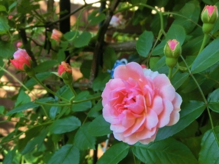 c0204121_22261685.jpg