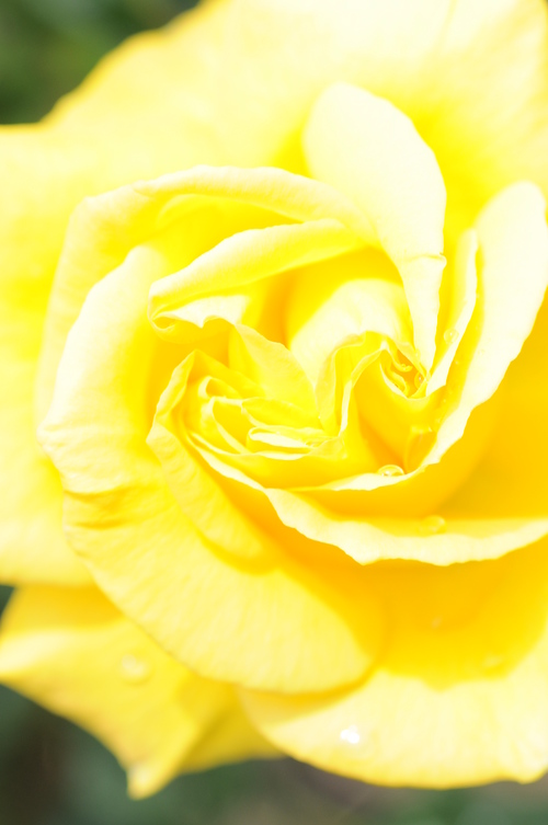 a0248728_2315874.jpg