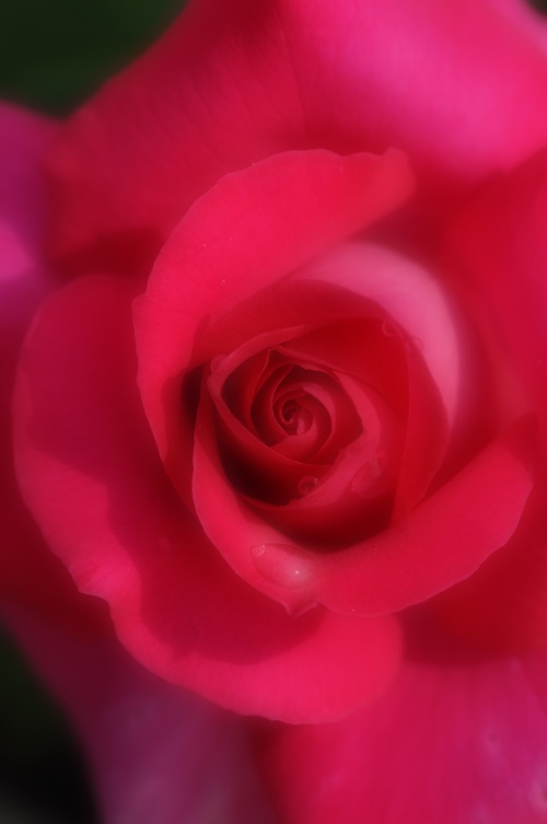 a0248728_235302.jpg