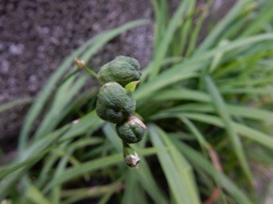 e0033229_17184446.jpg