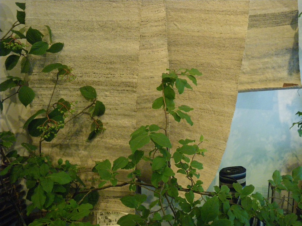 c0033636_82354.jpg