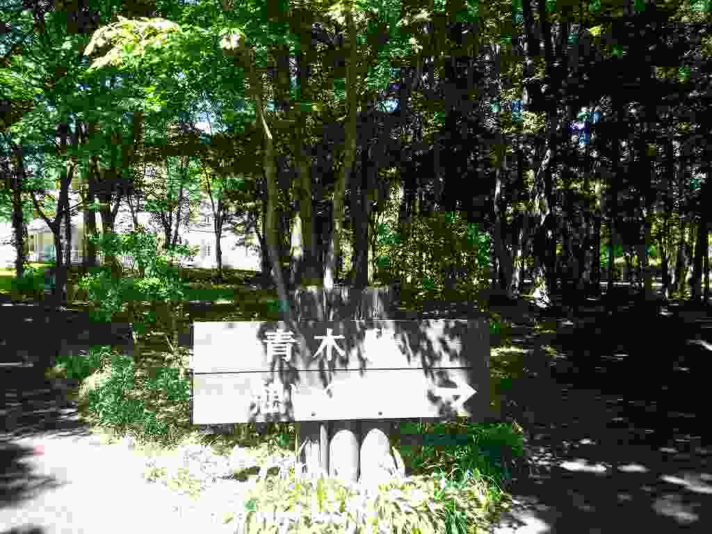 f0208737_08262289.jpg