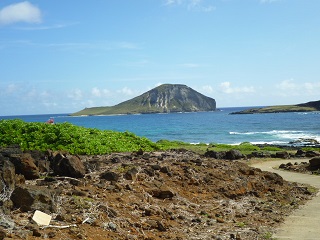 f0293238_20144890.jpg