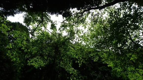 a0201743_07062070.jpg