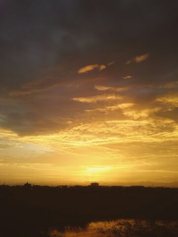c0264744_12461320.jpg