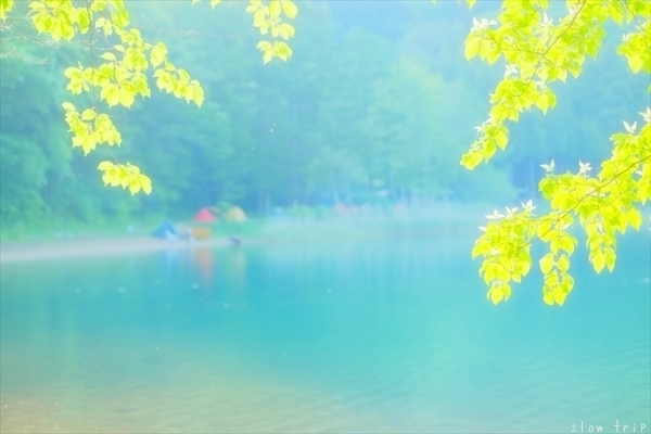 c0228945_11021525.jpg