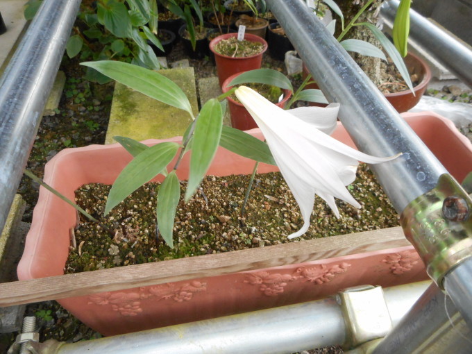 a0353447_09530447.jpg