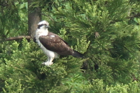 c0155950_9452519.jpg