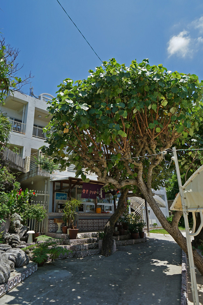 b0049152_17424062.jpg