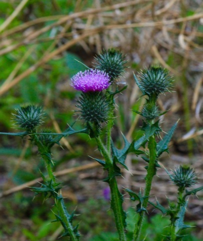 a0248459_07251995.jpg