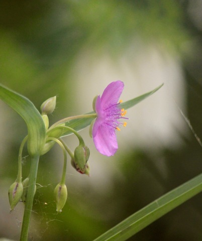 a0248459_07270006.jpg
