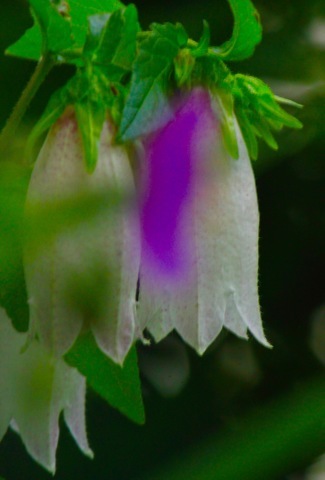a0248459_07280907.jpg