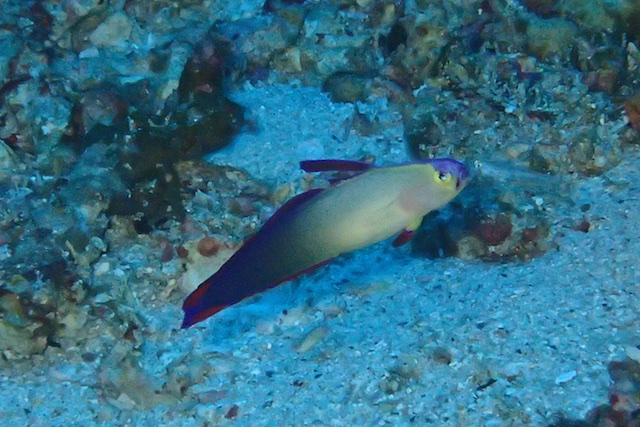 b0062363_20545476.jpg