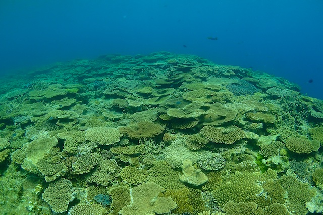 b0062363_20555135.jpg
