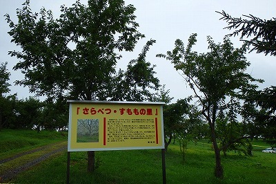 b0171771_10300011.jpg