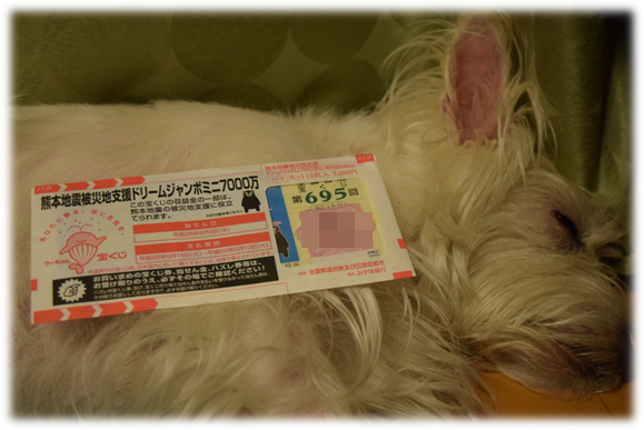 b0242873_00243315.png