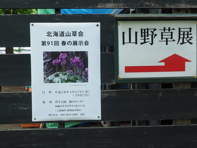 c0183777_11131525.jpg