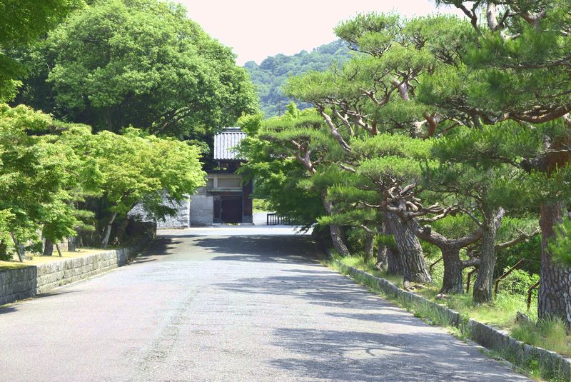 d0061579_12171967.jpg