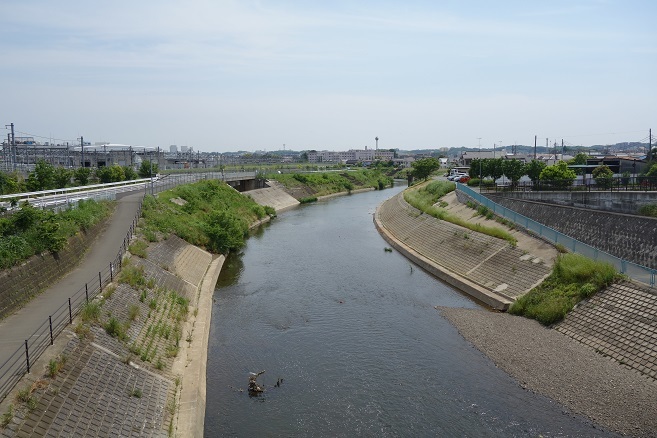 d0183387_23485657.jpg