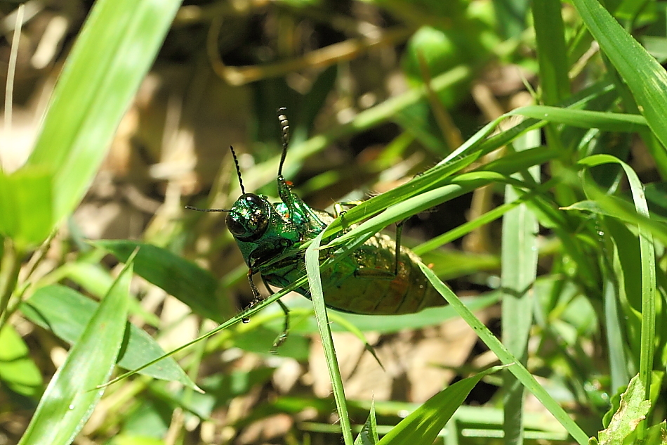c0369491_21210149.jpg