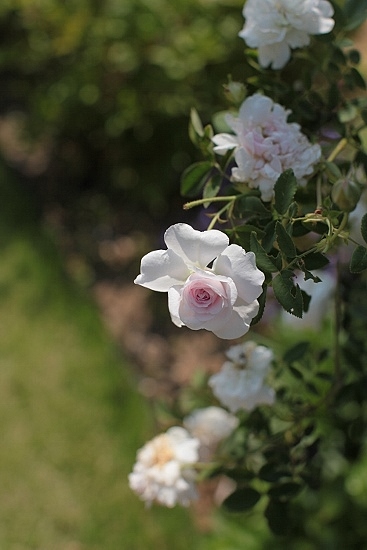 e0209997_10215778.jpg