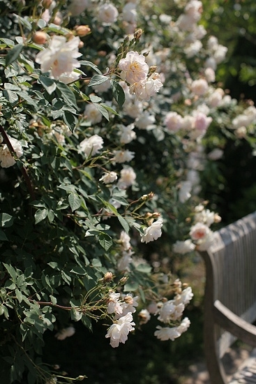 e0209997_1022415.jpg