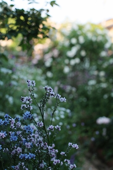 e0209997_10241170.jpg
