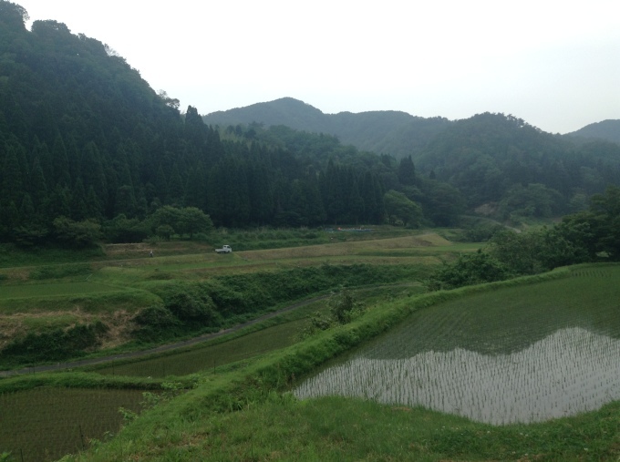 f0035404_21223977.jpeg