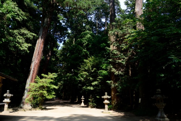 e0005714_10115167.jpg