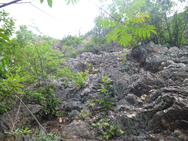 d0170615_20494778.jpg