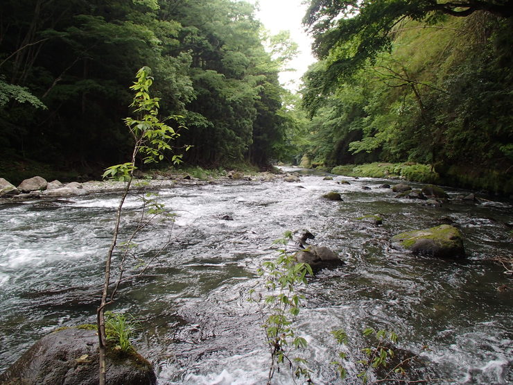 d0172227_2139521.jpg