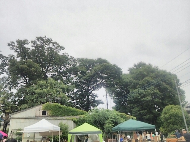 f0329129_12160854.jpg