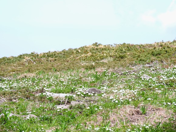 f0118332_2142125.jpg