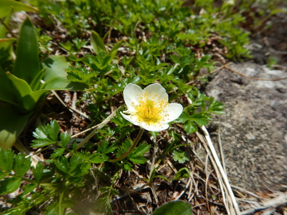 f0118332_2161866.jpg