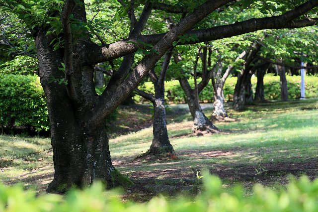 a0242438_18465880.jpg