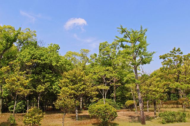 a0242438_18475141.jpg