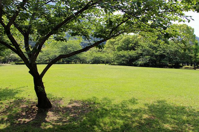 a0242438_1849627.jpg
