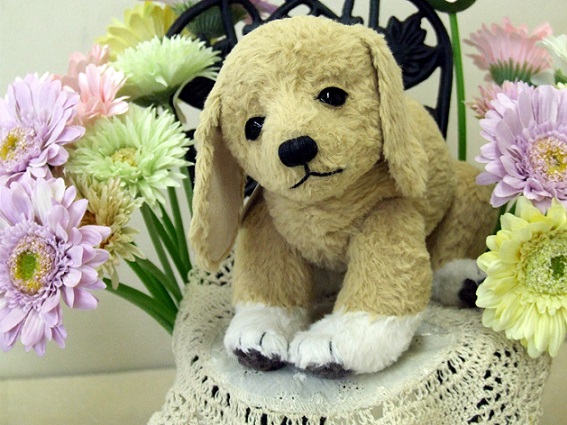 b0089338_23115559.jpg