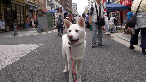 a0117039_201119.jpg